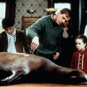 Andre - galeria zdjęć - filmweb