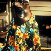 Andre - galeria zdjęć - filmweb