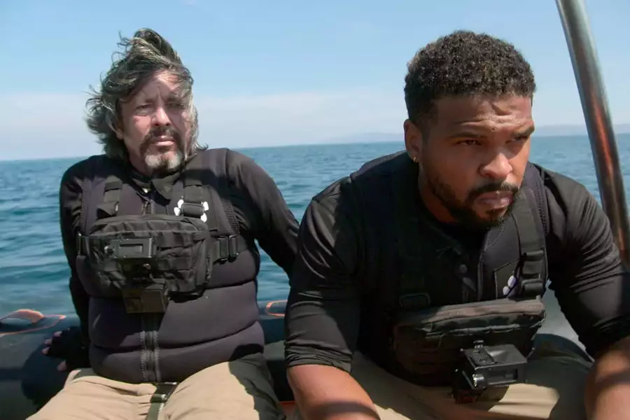 Bear kontra celebryci - galeria zdjęć - filmweb