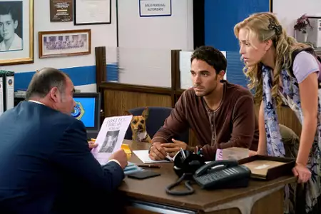 Cziłała z Beverly Hills - galeria zdjęć - filmweb