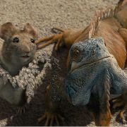 Beverly Hills Chihuahua - galeria zdjęć - filmweb