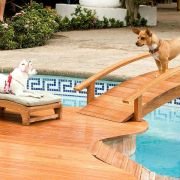 Beverly Hills Chihuahua - galeria zdjęć - filmweb