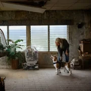 The Rip - galeria zdjęć - filmweb