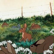 Wzgórze królików - galeria zdjęć - filmweb