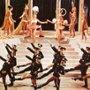Producenci - galeria zdjęć