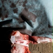 The Tortured - galeria zdjęć - filmweb