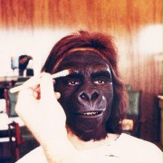 Beneath the Planet of the Apes - galeria zdjęć - filmweb