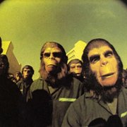 Conquest of the Planet of the Apes - galeria zdjęć - filmweb