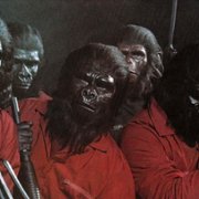 Conquest of the Planet of the Apes - galeria zdjęć - filmweb