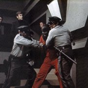 Conquest of the Planet of the Apes - galeria zdjęć - filmweb