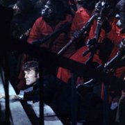 Conquest of the Planet of the Apes - galeria zdjęć - filmweb