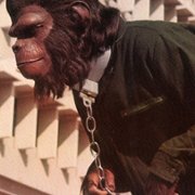 Conquest of the Planet of the Apes - galeria zdjęć - filmweb