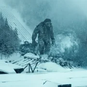 Troll 2 - galeria zdjęć - filmweb