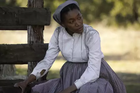 Stróżowie prawa: Bass Reeves - galeria zdjęć - filmweb