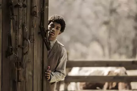 Stróżowie prawa: Bass Reeves - galeria zdjęć - filmweb
