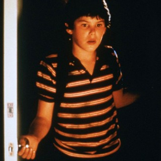 David Freeman