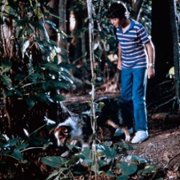 Flight of the Navigator - galeria zdjęć - filmweb