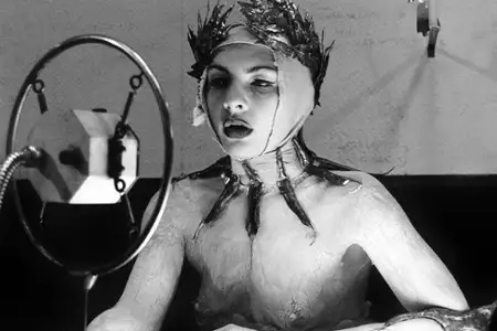 Dziewięć żywotów Tomasza Katza - galeria zdjęć - filmweb
