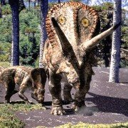 Wędrówki z dinozaurami - galeria zdjęć - filmweb