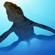 Wędrówki z dinozaurami - galeria zdjęć - filmweb