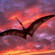 Walking with Dinosaurs - galeria zdjęć - filmweb