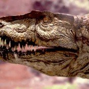 Walking with Dinosaurs - galeria zdjęć - filmweb