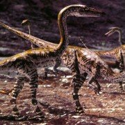 Walking with Dinosaurs - galeria zdjęć - filmweb
