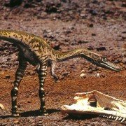 Walking with Dinosaurs - galeria zdjęć - filmweb
