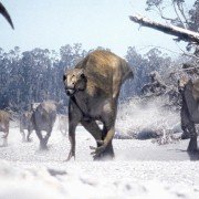 Walking with Dinosaurs - galeria zdjęć - filmweb