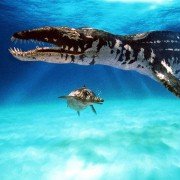 Walking with Dinosaurs - galeria zdjęć - filmweb