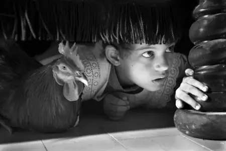 Śnieżka - galeria zdjęć - filmweb