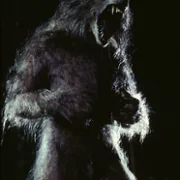 Bad Moon - galeria zdjęć - filmweb