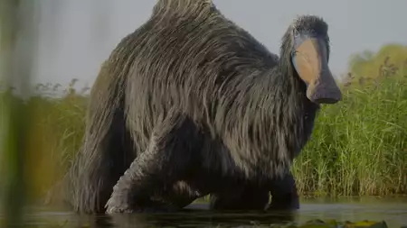 Prehistoryczna planeta - galeria zdjęć - filmweb