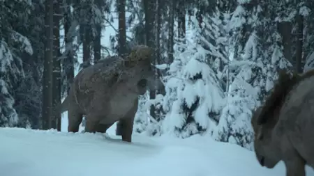 Prehistoryczna planeta - galeria zdjęć - filmweb