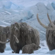 Prehistoryczna planeta - galeria zdjęć - filmweb