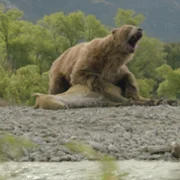 Prehistoric Planet - galeria zdjęć - filmweb