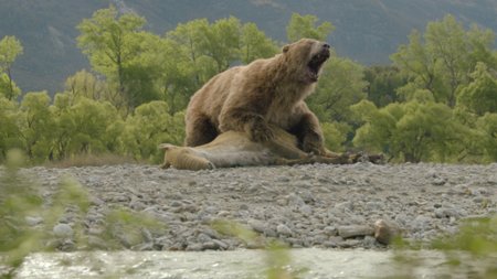 Sezon 3 Odcinek 2 Nowe lądy