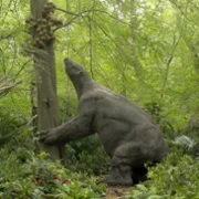 Prehistoric Planet - galeria zdjęć - filmweb