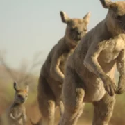 Prehistoric Planet - galeria zdjęć - filmweb