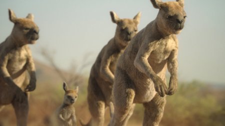 Sezon 3 Odcinek 3 Tereny pustynne