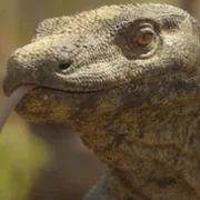 Prehistoric Planet - galeria zdjęć - filmweb