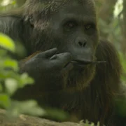 Prehistoric Planet - galeria zdjęć - filmweb