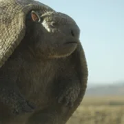 Prehistoric Planet - galeria zdjęć - filmweb