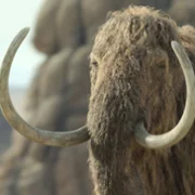 Prehistoric Planet - galeria zdjęć - filmweb