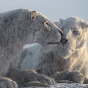 Prehistoric Planet - galeria zdjęć - filmweb