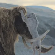 Prehistoric Planet - galeria zdjęć - filmweb