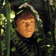 Driving Lessons - galeria zdjęć - filmweb