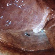 Innerspace - galeria zdjęć - filmweb