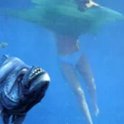 Piranha - galeria zdjęć - filmweb