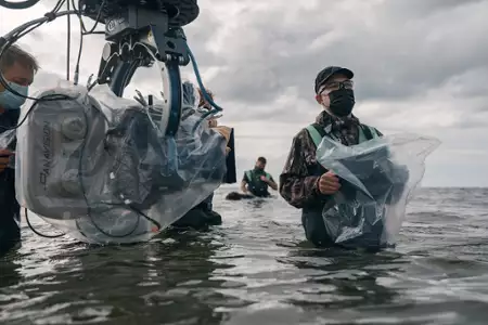 Wiking - galeria zdjęć - filmweb